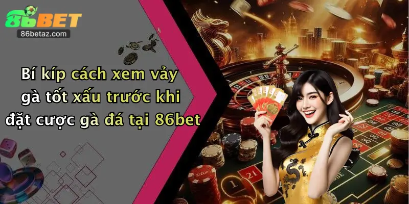Bí kíp cách xem vảy gà tốt xấu trước khi đặt cược gà đá tại 86bet