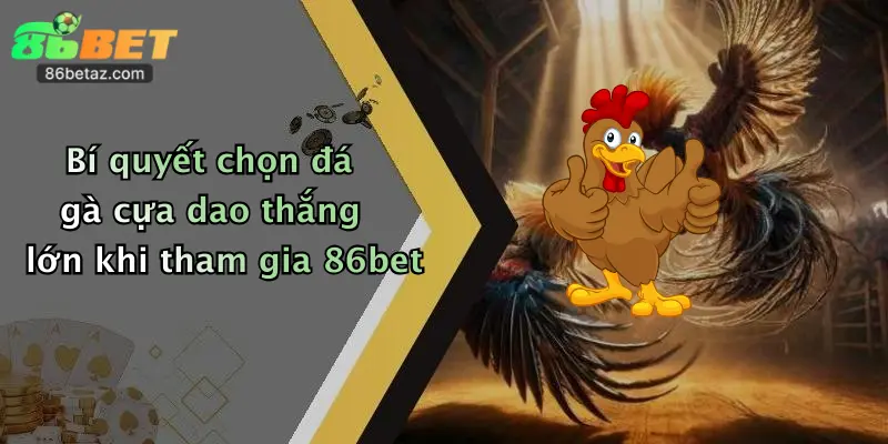 Đá Gà Cựa Dao: Đặt Cược Đỉnh Cao Hấp Dẫn Tại 86Bet 5 Bí quyết chọn đá gà cựa dao thắng lớn khi tham gia 86bet