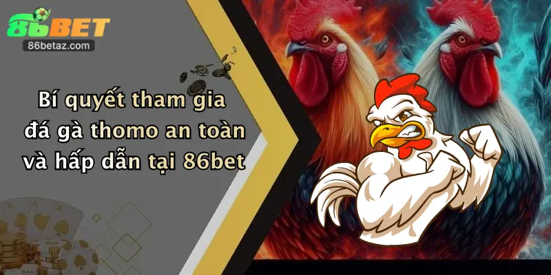 Bí quyết tham gia đá gà thomo an toàn và hấp dẫn tại 86bet
