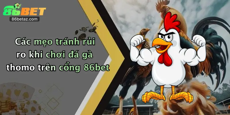 Các mẹo tránh rủi ro khi chơi đá gà thomo trên cổng 86bet