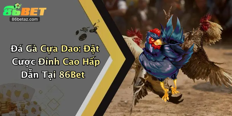 Đá Gà Cựa Dao: Đặt Cược Đỉnh Cao Hấp Dẫn Tại 86Bet 1 Đá Gà Cựa Dao: Đặt Cược Đỉnh Cao Hấp Dẫn Tại 86Bet