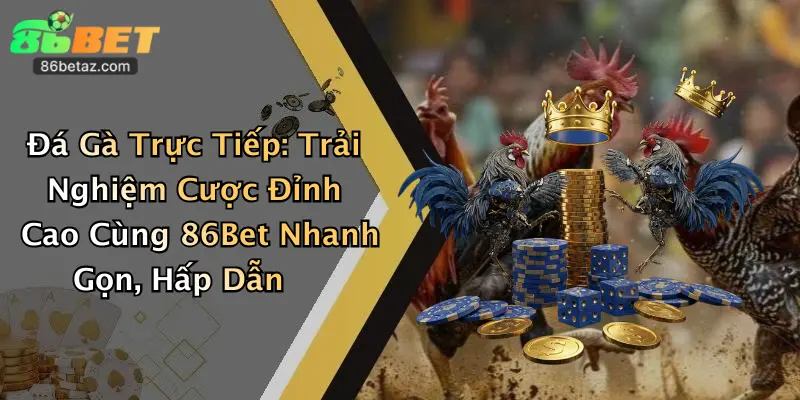 Đá Gà Trực Tiếp: Trải Nghiệm Cược Đỉnh Cao Cùng 86Bet Nhanh Gọn, Hấp Dẫn