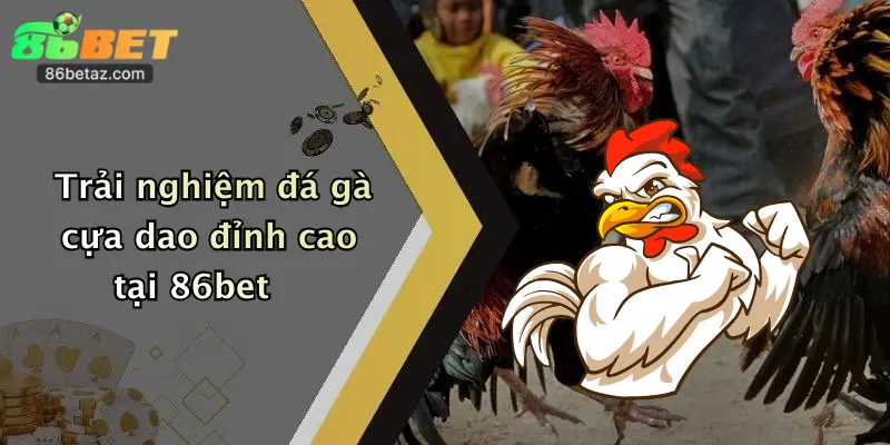 Đá Gà Cựa Dao: Đặt Cược Đỉnh Cao Hấp Dẫn Tại 86Bet 2 Trải nghiệm đá gà cựa dao đỉnh cao tại 86bet
