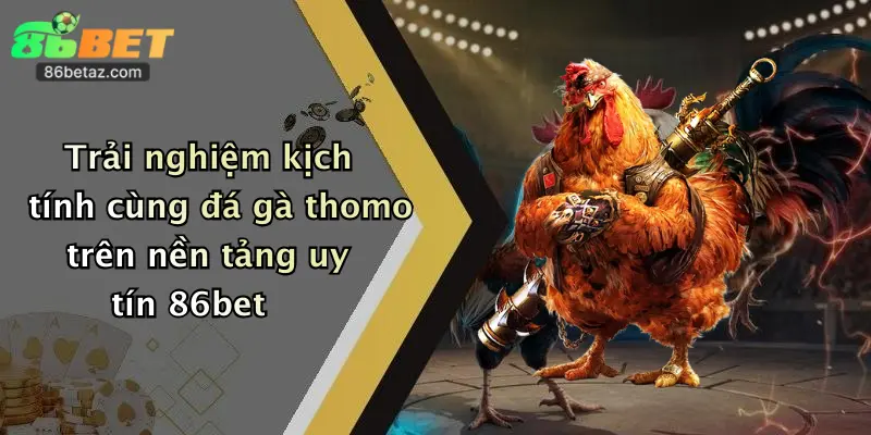 Trải nghiệm kịch tính cùng đá gà thomo trên nền tảng uy tín 86bet